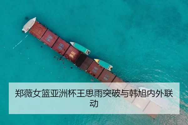 郑薇女篮亚洲杯王思雨突破与韩旭内外联动