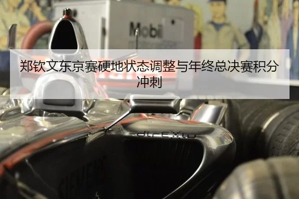 郑钦文东京赛硬地状态调整与年终总决赛积分冲刺