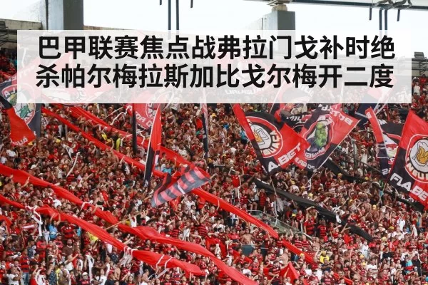 巴甲联赛焦点战弗拉门戈补时绝杀帕尔梅拉斯加比戈尔梅开二度